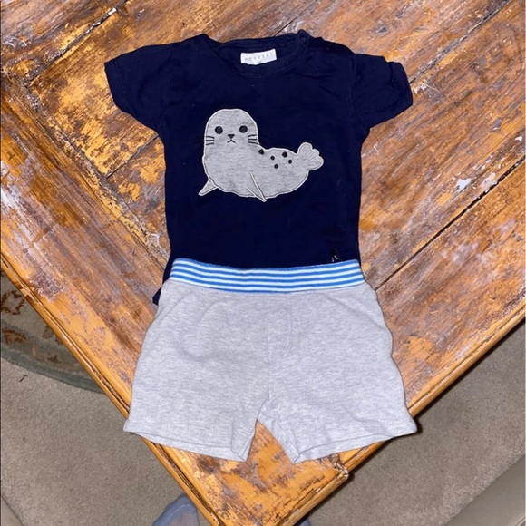 Nordstrom Baby Other - Nordstrom baby seal onesie and short set size 3-6